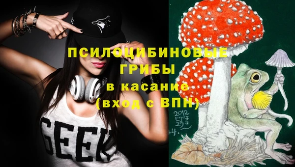 прущая мука Осташков
