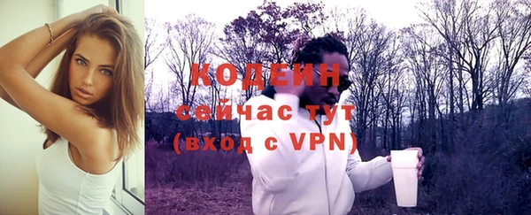 дживик Осинники