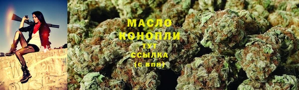 дживик Осинники