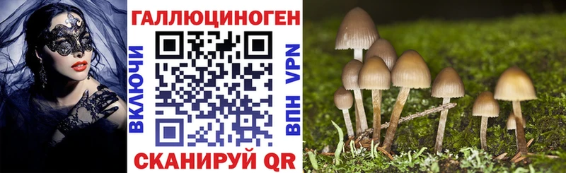 Псилоцибиновые грибы Psilocybine cubensis Мантурово
